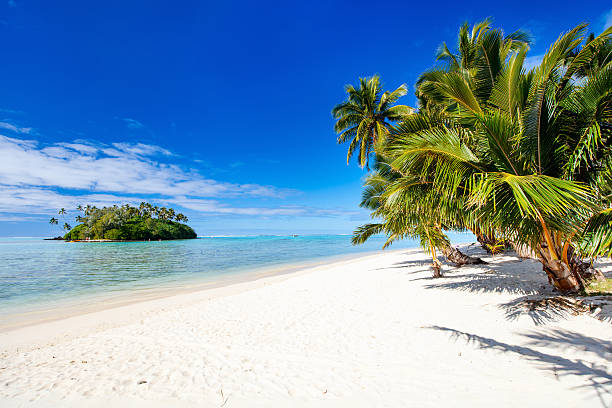Beautiful tropical beach at exotic island in Pacific stock photo