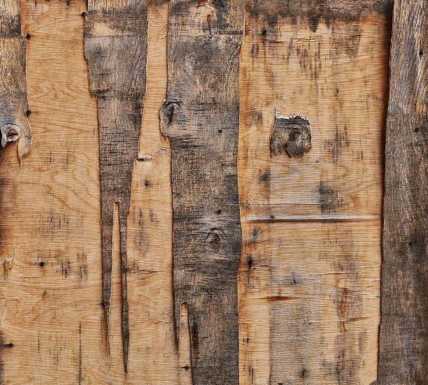 istock Old wooden door 493031176