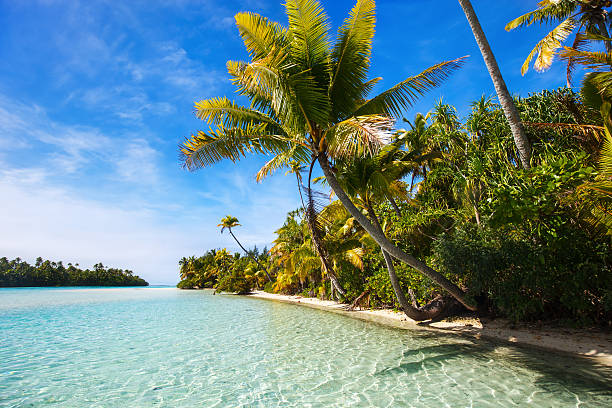 istock Stunning tropical beach at exotic island in Pacific 493032060