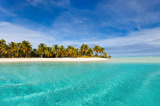 istock Stunning tropical beach at exotic island in Pacific 493032118