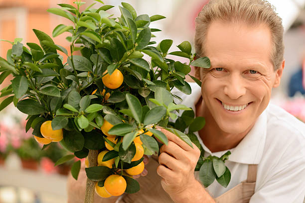 istock Professional florist working in the greenhouse 493032630