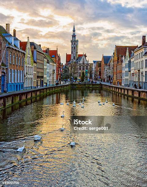 Swans On Canals Of Bruges Belgium Stock Photo - Download Image Now - 2015, Ancient, Architecture