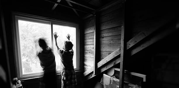 Two Twin Brothers in their family attic stock photo