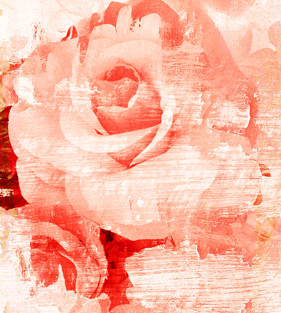 Flower beautiful rose, art paint illustration for background