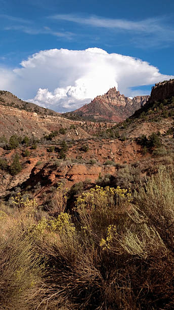 istock Billowing cumulus cloudscape over Eagle Crags and desert Rockville Utah 493056934