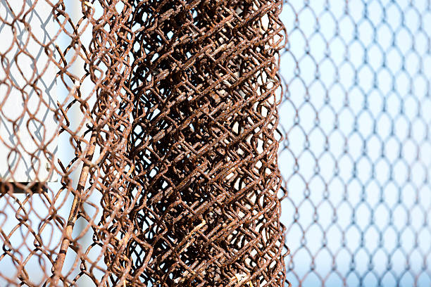 istock Details from Alcatraz prison island. 493058066