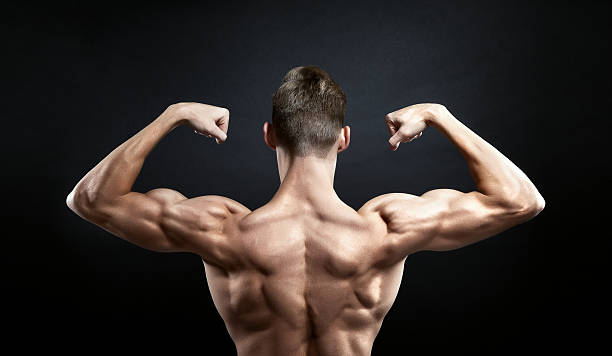muskuläre male zurück, auf schwarzem hintergrund - body building men flexing muscles male stock-fotos und bilder