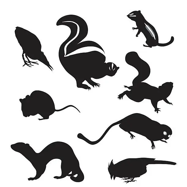 Vector illustration of Small Animals