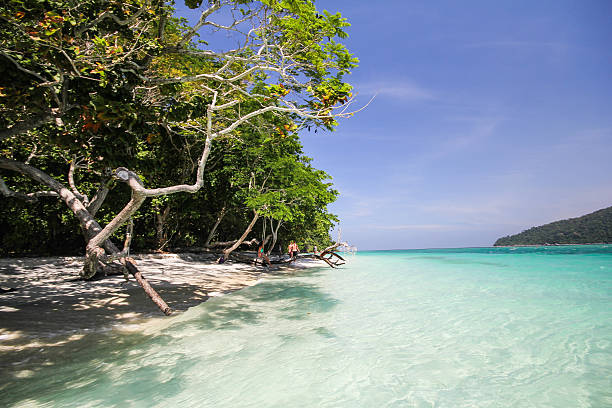 istock Ravee island, Koh Ravee, Satun province Thailand 493062678