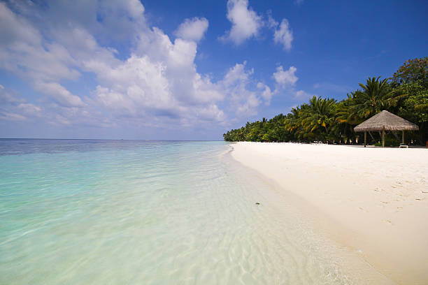 istock View of vilamendhoo island at Maldives 493065580