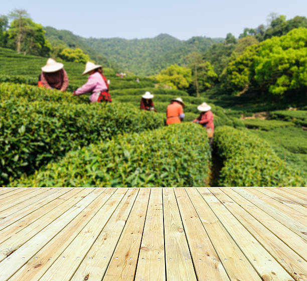 wood floor with tea Plantations  scenery