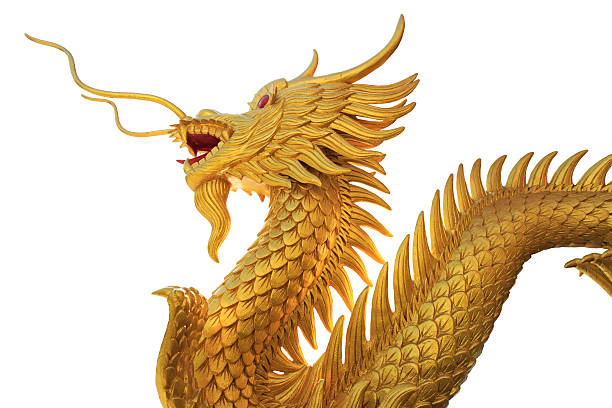 istock Giant golden Chinese dragon on isolate background 493069111