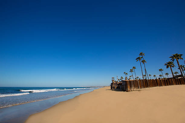 istock Newport beach in California with palm trees 493070467