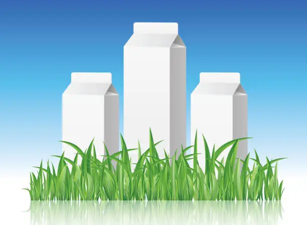 Vector illustration of Milk box
