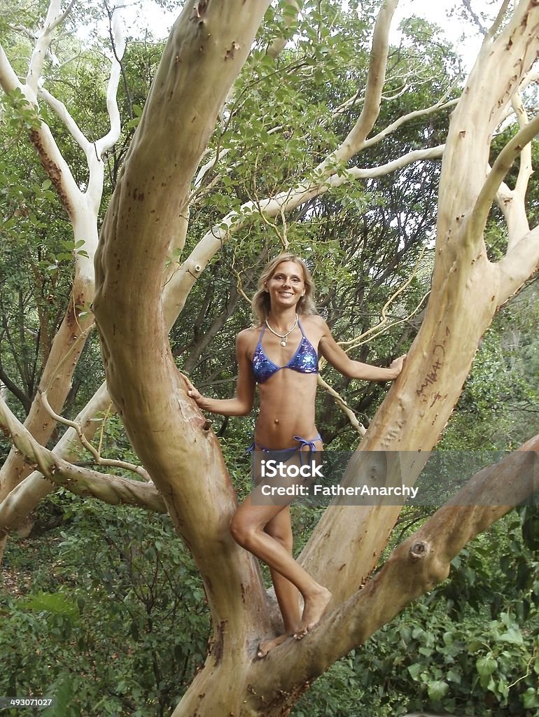The Girl and a  tree Beautiful girl nearly Crimea Stock Photo