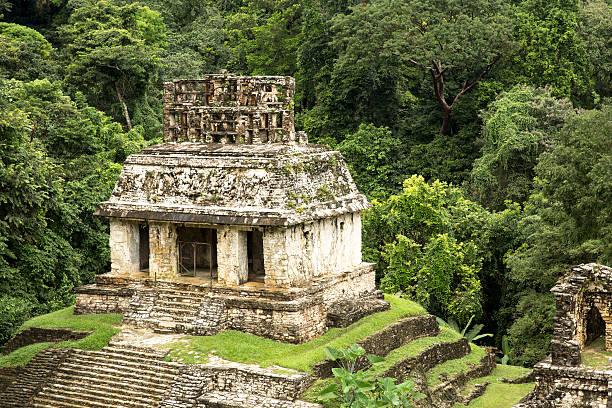 istock TheTemple of the Count 493071933