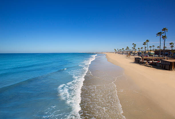 Newport beach in California with palm trees Newport beach in California with palm trees along the shore newport beach california stock pictures, royalty-free photos & images
