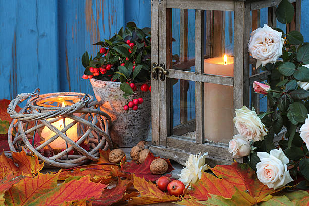 istock Lights in the evening with foliage 493072737