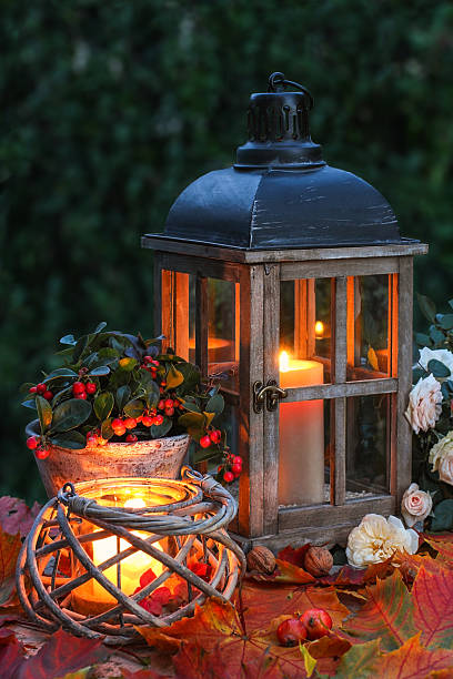 lichter am abend mit grün - ornamental garden flower bed night illuminated stock-fotos und bilder