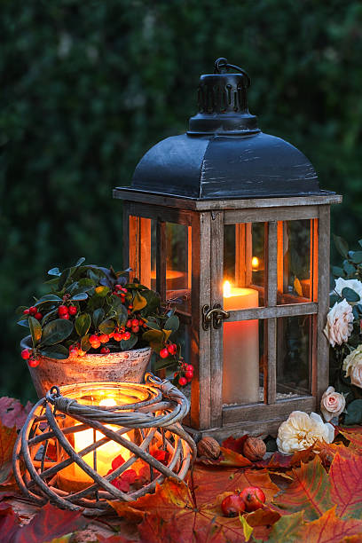 istock Lights in the evening with foliage 493072739