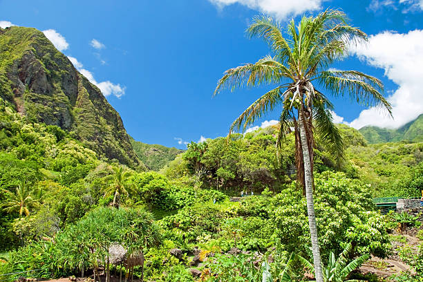 Parque estatal de Iao Valley en Maui, Hawai - foto de stock