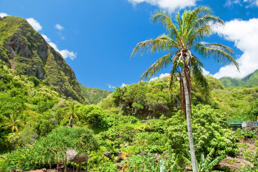 Iao Valley State Park on Maui Hawaii