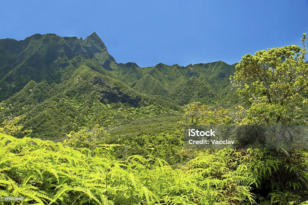 Parque estatal de Iao Valley em Maui havaí - Royalty-free Maui Foto de stock