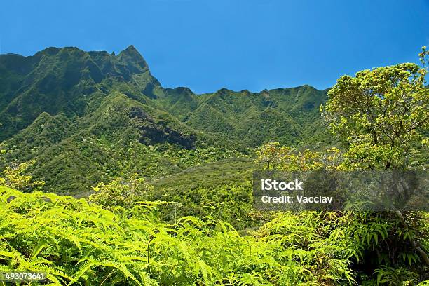 Parque Estatal De Iao Valley Em Maui Havaí - Fotografias de stock e mais imagens de Maui - Maui, Ao Ar Livre, Azul