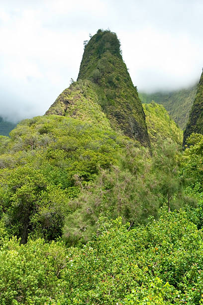 vale de iao agulha no parque estatal em maui havaí - maui iao valley state park hawaii islands mountain imagens e fotografias de stock