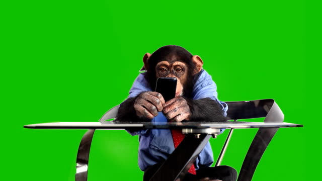 Green Screen Monkey Smart Phone