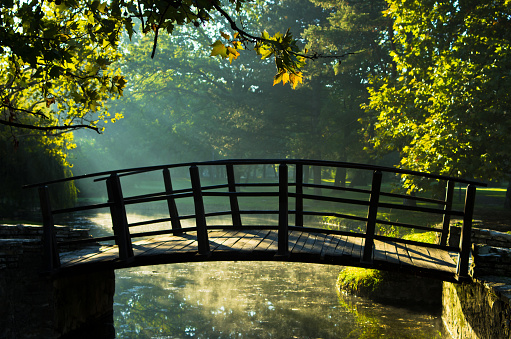 Little wooden bridge on first sunrays at sunny autumn morning in Topcider park