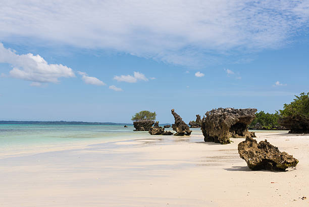 istock Pristine white tropical beach with blue sea in Pemba 493080228
