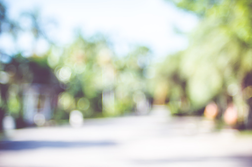 Blur background : outdoor park with tree and bokeh light.