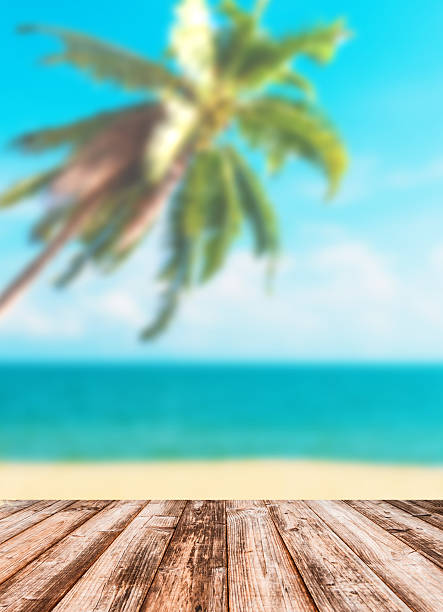 istock Blurred image of sea sky coconut tree 493081392