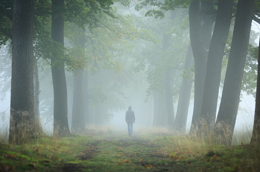 Anonymous man in hoodie walking alone in a lane on a foggy, autumn morning. Shallow D.O.F.