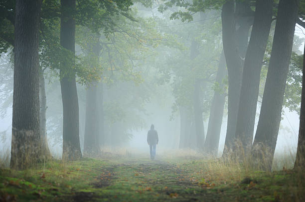 a nevoeiro - solitude morning nature rural scene - fotografias e filmes do acervo