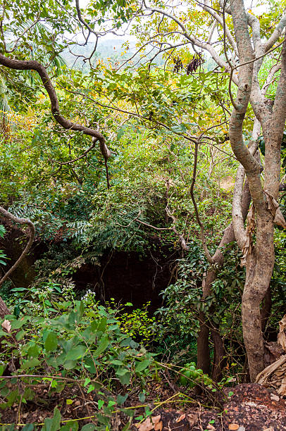 profondo buca sul terreno nel cuore della giungla - yawner foto e immagini stock