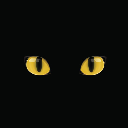 The yellow cat eyes on the black background