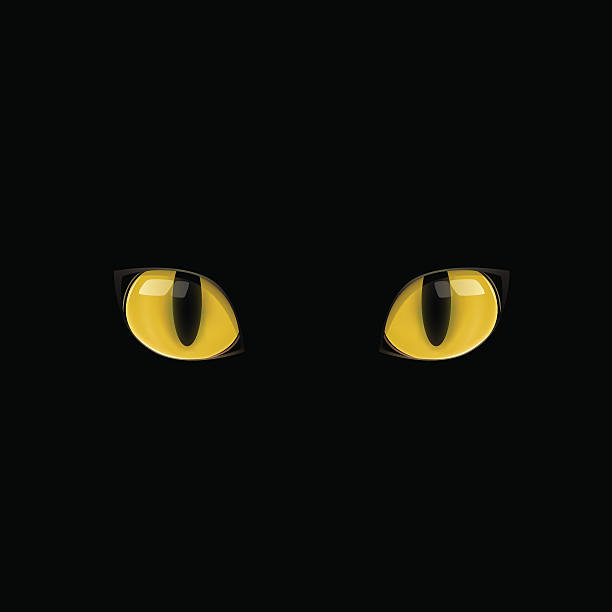 yellow cat eyes The yellow cat eyes on the black background black cat stock illustrations