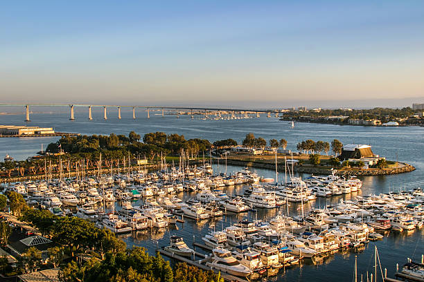 istock Marina of Seattle 493085914
