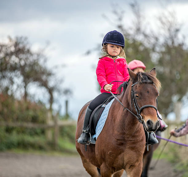 istock Young girl enjoying horse riding lesson 493086938