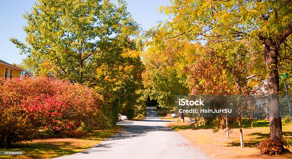 The colorful walk vibrant colors on the road 2015 Stock Photo