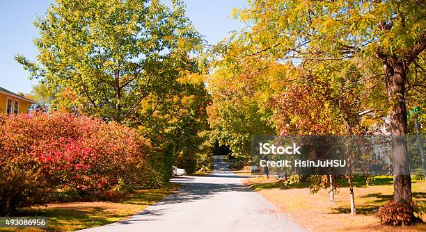 The Colorful Walk Stock Photo - Download Image Now - 2015, Autumn, Beauty In Nature