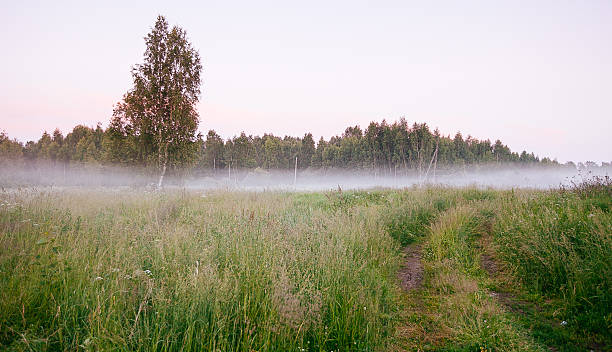 istock Beautiful thick fog sunrise Autumn Fall landscape over fields wi 493087256