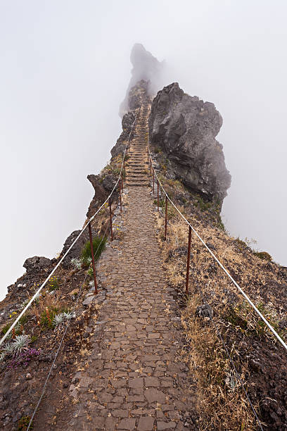 istock Trekking on Madeira island 493088628