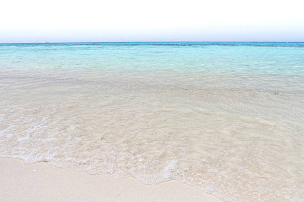istock beach and wave blue sea  at koh rok, krabi, thailand 493105964