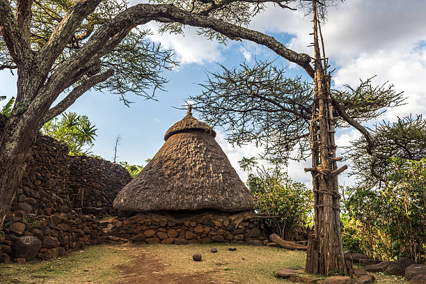 istock Traditional village in Konso, Ethiopia 493109356