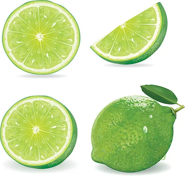 Vector illustration of Collection Fresh lime and slice, Isolated on white background.vector