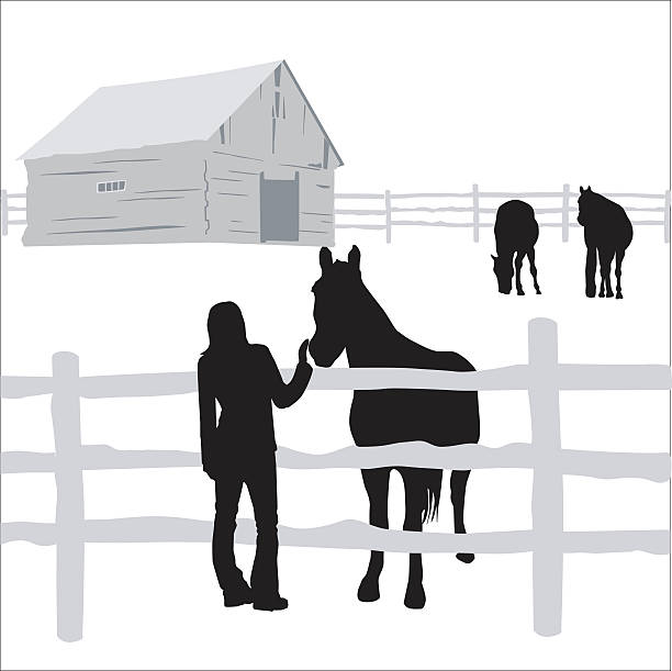 Special Friend A vector silhouette illustration of a young man patting the nose of a hourse behind a fence. corral stock illustrations