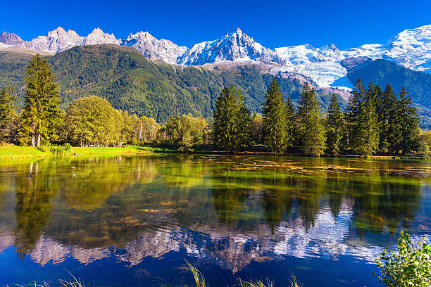 istock The lake reflected snow-capped Alps 493114670